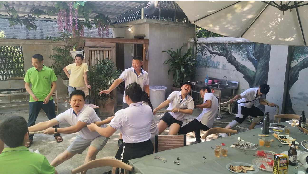 澳门历史记录查询